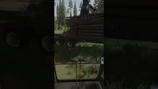 Heavy Machine PERFECTLY Loads a Logging Truck