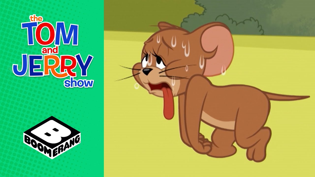 Hot tom. Jerry boom4. Merry Melodies: 'i'm a Martian' ft. Marvin the Martian | Looney Tunes Sing-along | WB Kids.