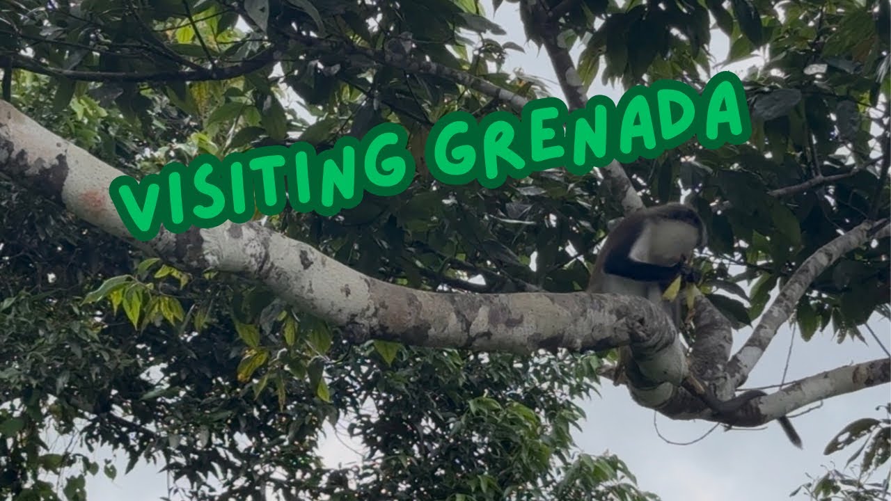 Visiting Grenada #caribbean #cruise #travel #enchantedprincess 