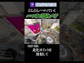 蘇生後にハンマーポイントがついてしまうバグ【エーペックス】