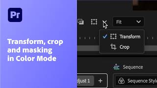 Why Transform, Crop, and Masking Controls Are Hidden | Adobe Premiere Color Mode (Beta)
