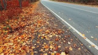 Pov Autumn Road Stock Video