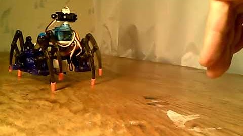 Spiderbot Object Tracking Demo