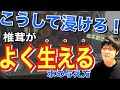 「椎茸はこうして生やせ！5つのステップ」③ “木の浸水 編”【原木椎茸栽培】