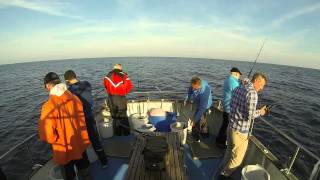 Bultens Fiske Med Daisy 2014
