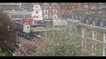 How to Animate Snow Fall in Animate CC