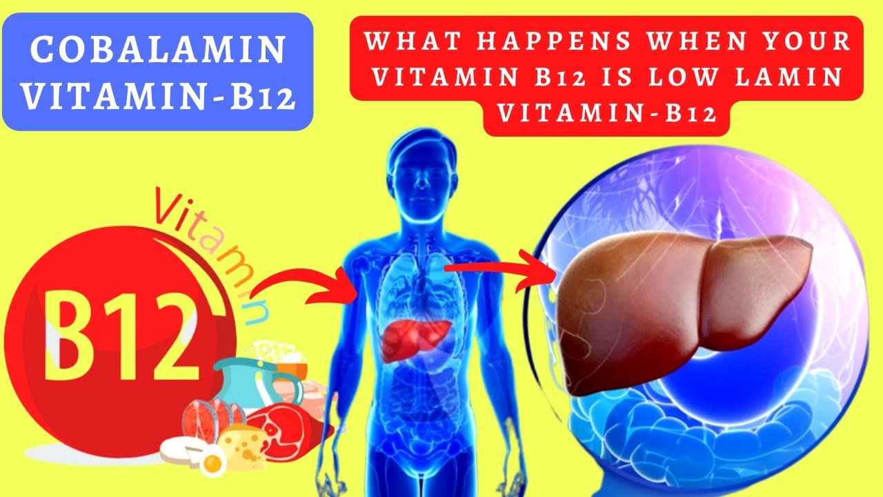 What happens when your vitamin B12 is low in your Body ?Cobalamin