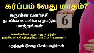 6 months during pregnancy in tamil | 6 month baby in womb | 6 months pregnant baby position