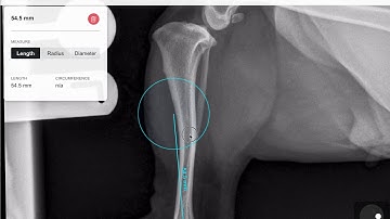 How to plan a TPLO  in vPOP-pro!