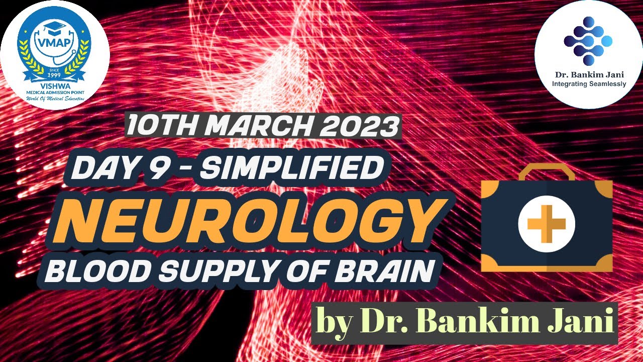 9 - Neurology - Blood Supply of the Brain - YouTube
