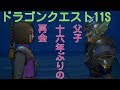 ドラゴンクエスト11S　ユグノア場の地下で出会った甲冑の騎士の正体とは？