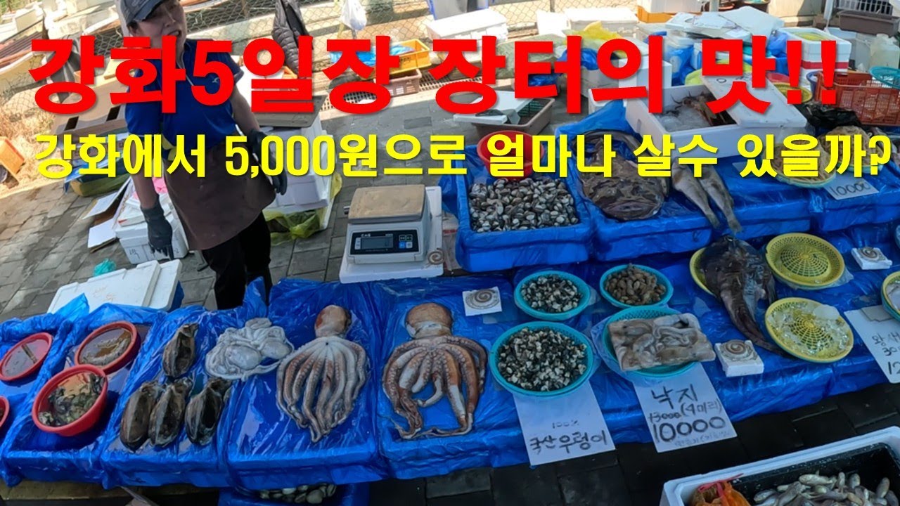 강화에서 5000원으로 얼마나 살 수 있을까? #강화5일장 #강화풍물시장