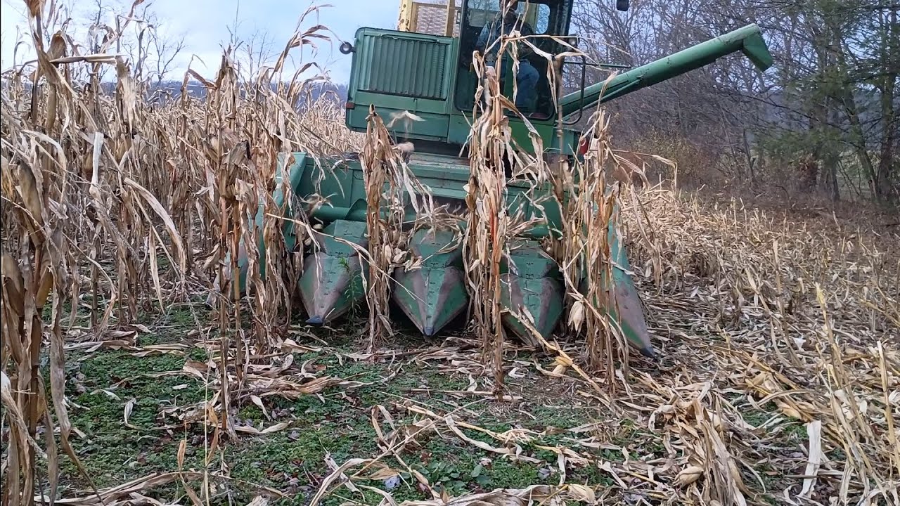 Chowing down on the next field better yield too - YouTube