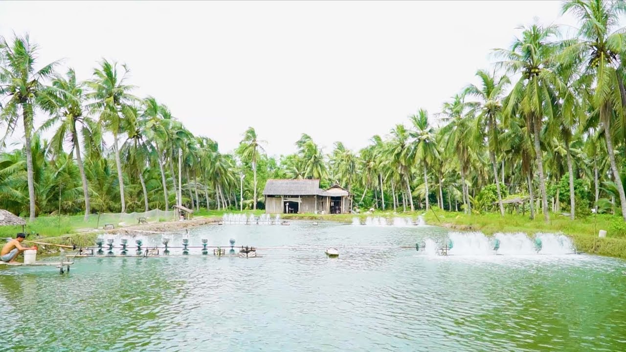 VIETNAM THE BEST ORGANIC PRODUCTS