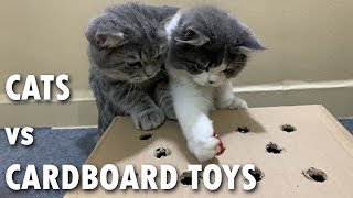 Cats Vs Cardboard Toys