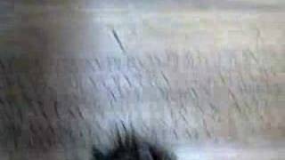 Inside Dante's Tomb