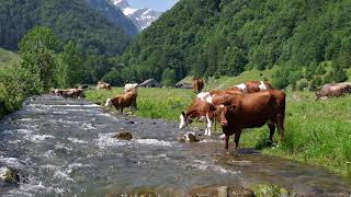 switzerland tourism video 4K - سويسرا جنة الارض