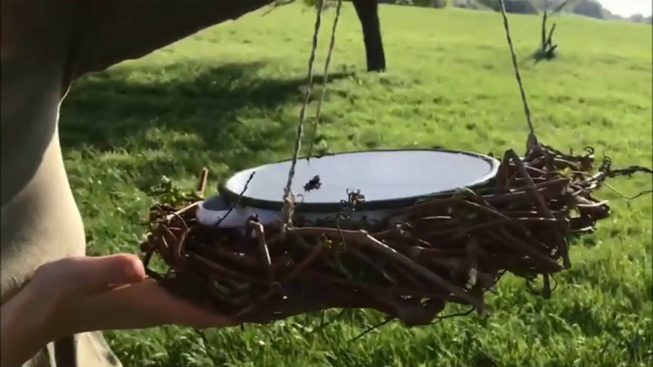 Die Bäuerinnen - Vogeltränke ganz einfach selber machen