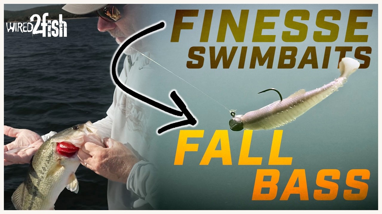 Finesse Swimbait Fishing Tips for Fall Bass