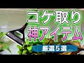 【水槽快適】劇的にコケ取りが楽になる神アイテム5選【熱帯魚 アクアリウム】