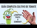 GUÍA COMPLETA CULTIVO DE TOMATE: (1) sembrar o comprar plantel || en20metros