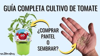 GUÍA COMPLETA CULTIVO DE TOMATE: (1) sembrar o comprar plantel || en20metros