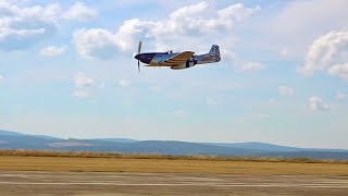 Low P-51 Mustang flyby - Letecký den Cheb 2022