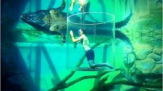 Cage Of Death Crocodile