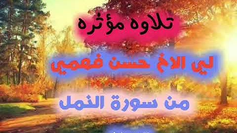 تلاوه مؤثره لي القارى حسن فهمي من سورة النمل في مسجد بلعيش