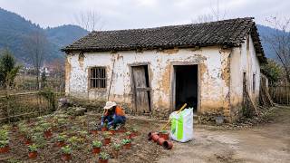 Leaving the City, a Woman Renovated an Abandoned House Into a Beautiful Home for Their Parents.
