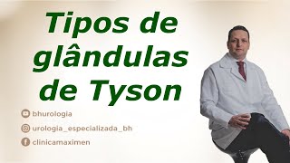 Classificação das Glândulas de Tyson