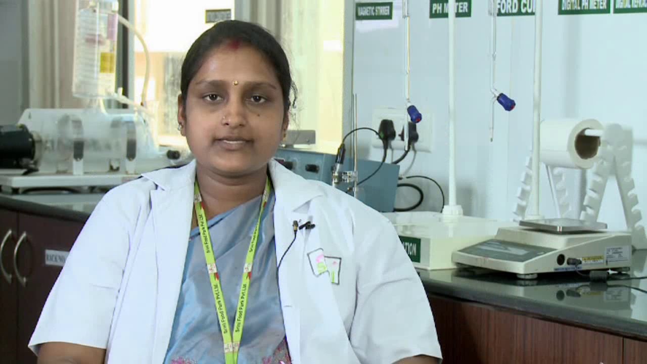 Srini Mega Food Park