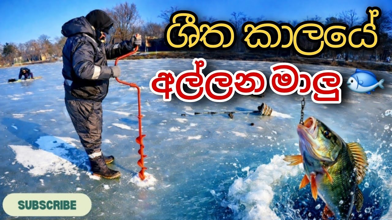 🇷🇴 රුමේනියාවේ සිතලට ගල් උන ගගක මාලු අල්ලන හැටි බලමුද 😍 උශ්ණත්වය -10 😯 )  #worldtravelbuddies  
