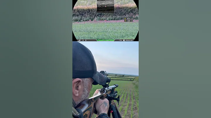 The Silent Assassin: Long Range Rabbit Hunting With .22LR Subsonics