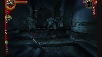 The Witcher-Chapter 5-Raven