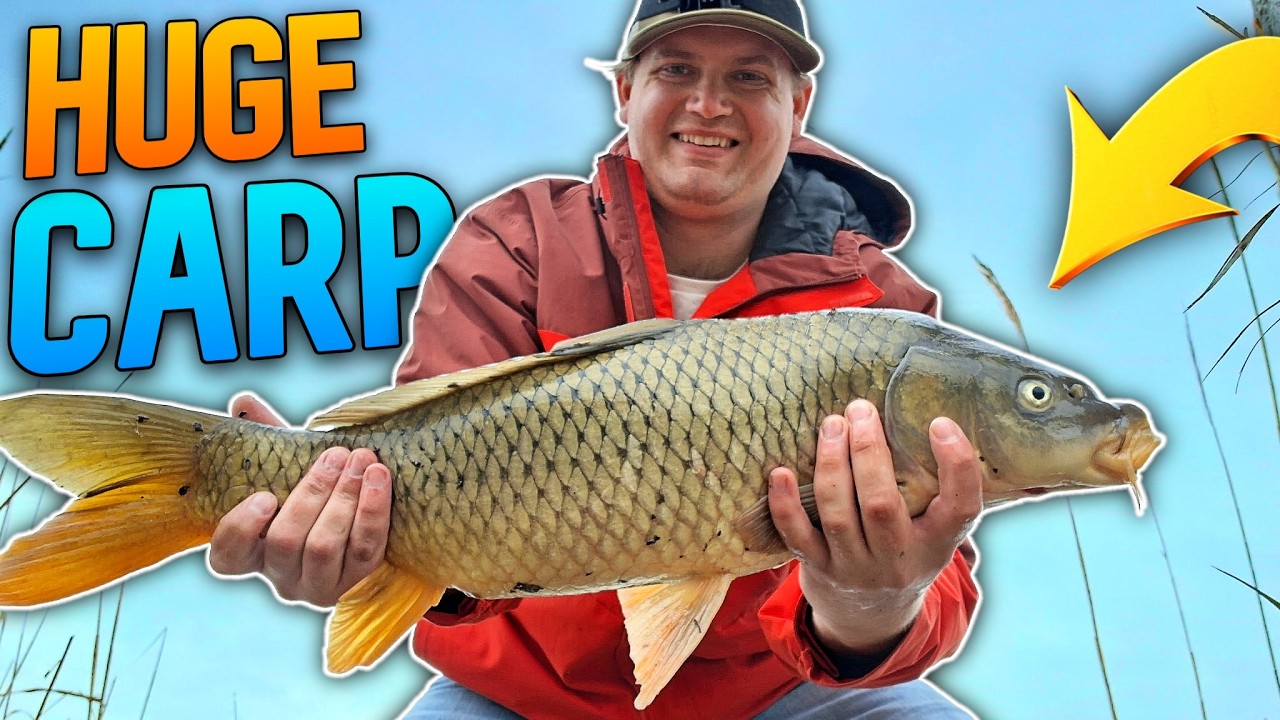 Catching BIG SPRING CARP! - YouTube