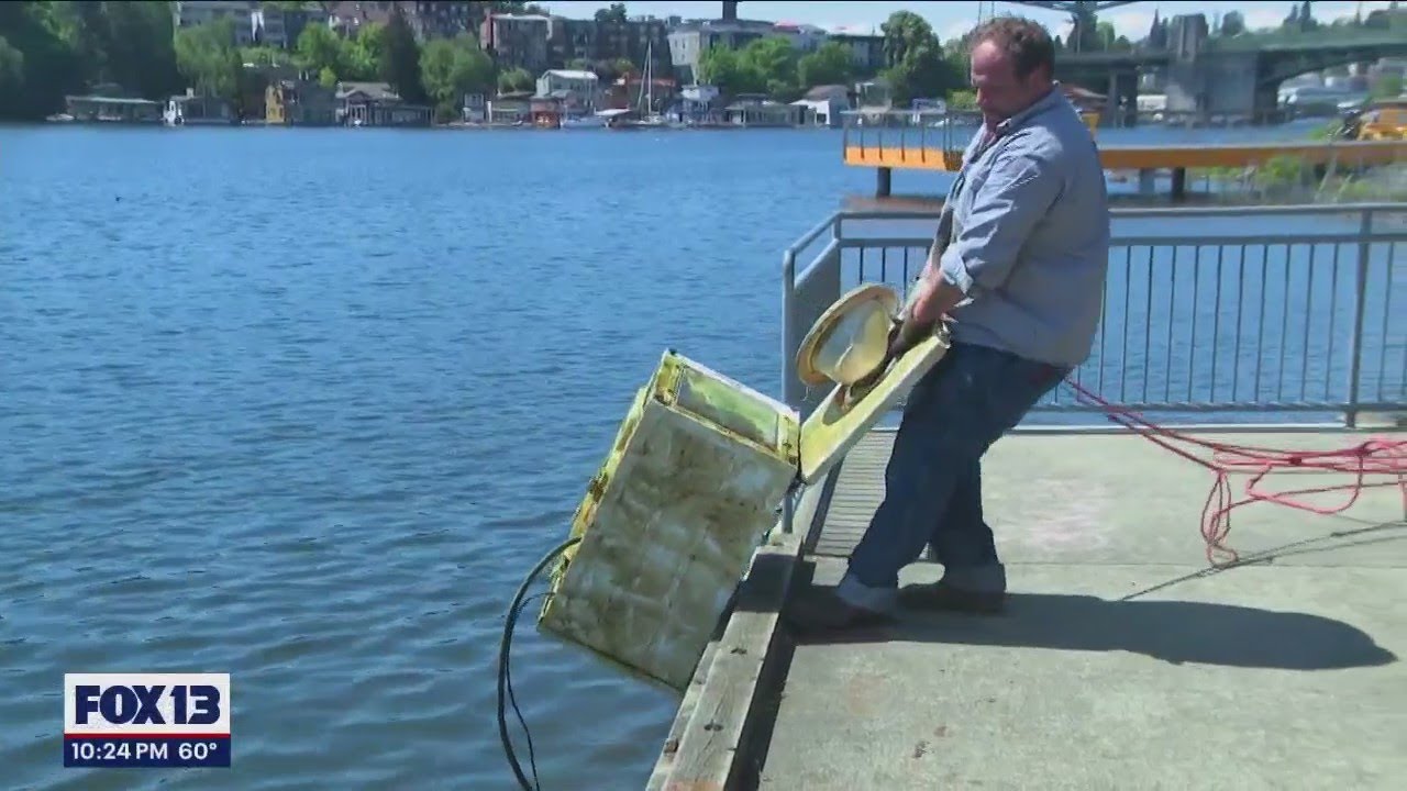 'Magnet fishing' at Portage Bay Park | FOX 13 Seattle