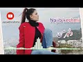 نجیب     کشمی دلبرمن از باغ برآمد بالبی خندان   