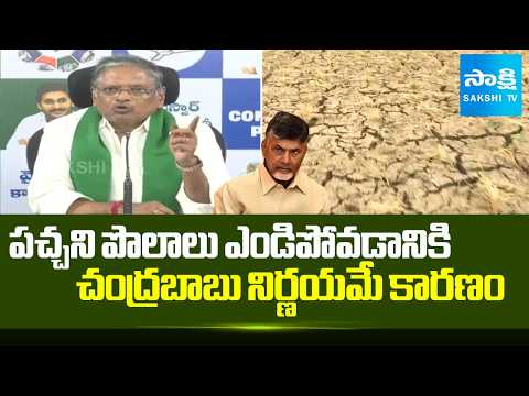 YSRCP MVS Nagireddy KEY Comments on AP Farmer Issues | Chandrababu | Sakshi Tv - SAKSHITV