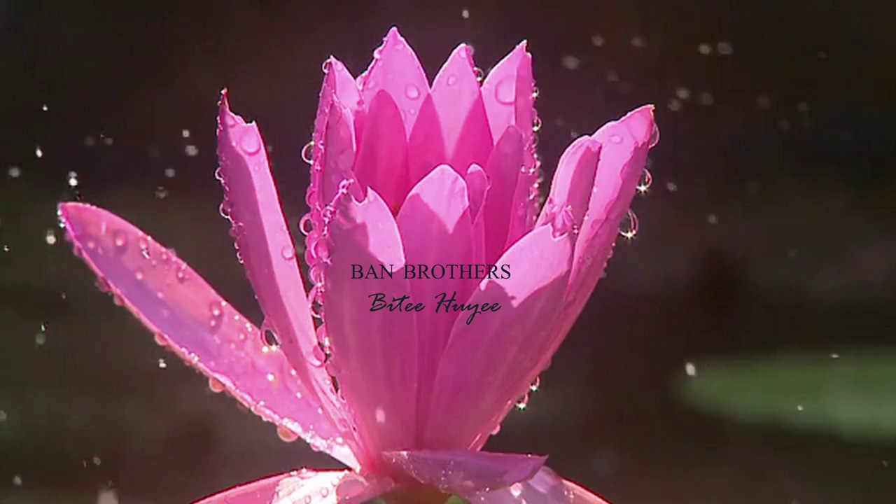 Ban Brothers - Bitee Huyee (The Past) - YouTube