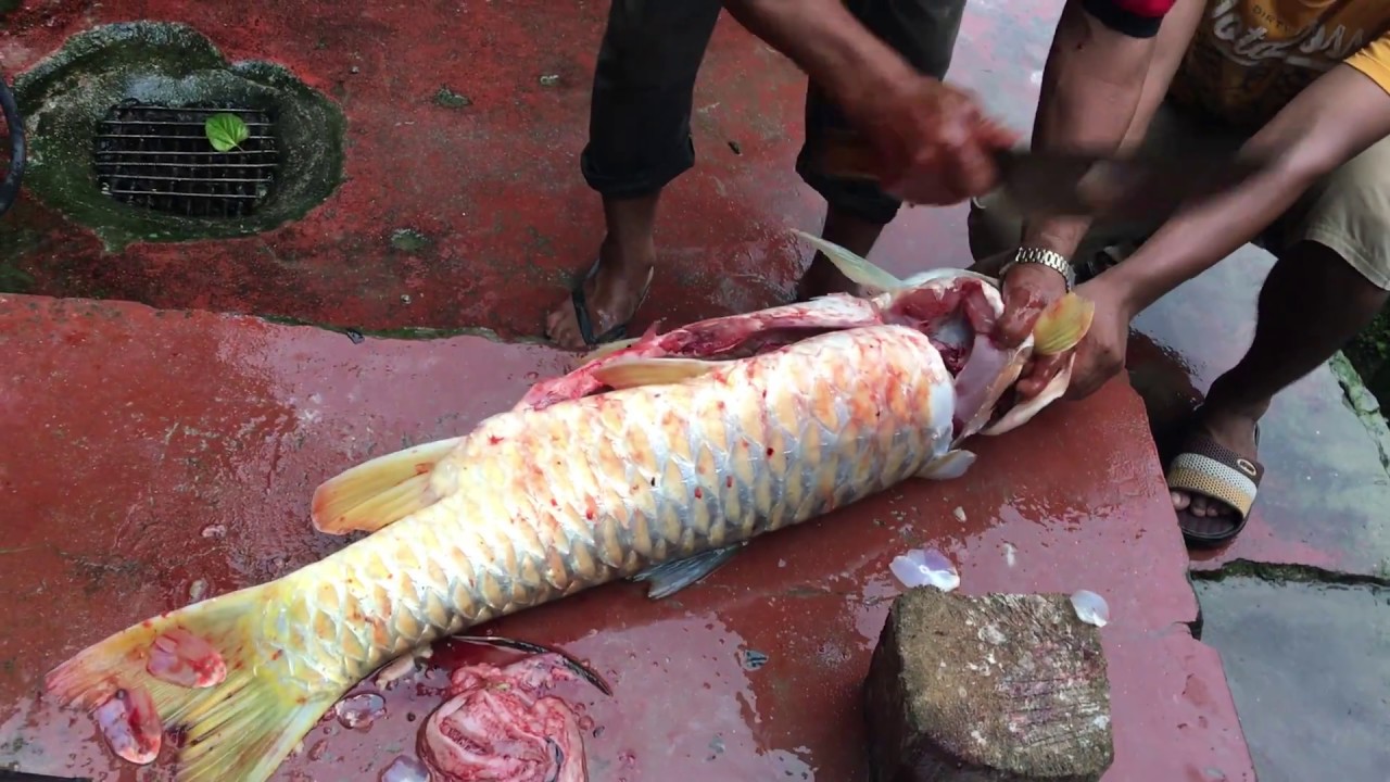 How to prepare a large fish | Preparing fish in Nepali village - YouTube