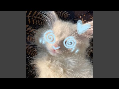 Suffocate Me Until I Turn Blue 