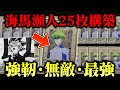 【遊戯王】25周年を祝うぞモクバ！海馬瀬人25枚デッキが強靭・無敵・最強でワーッハッハッハｗｗ【対戦動画】