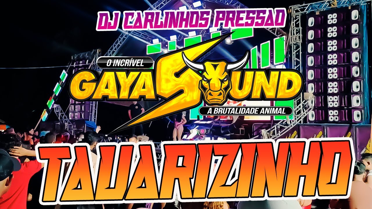 GAYA SOUND - VILA TAUARIZINHO - DJ CARLINHOS PRESSÃO