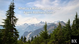 What Is a Washington Escrow Agent Business Bond?