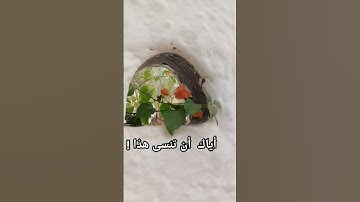 لا تنسَ أذكار الصباح والمساء 🌅🌙 | تذكير محبّ من القلب ❤️