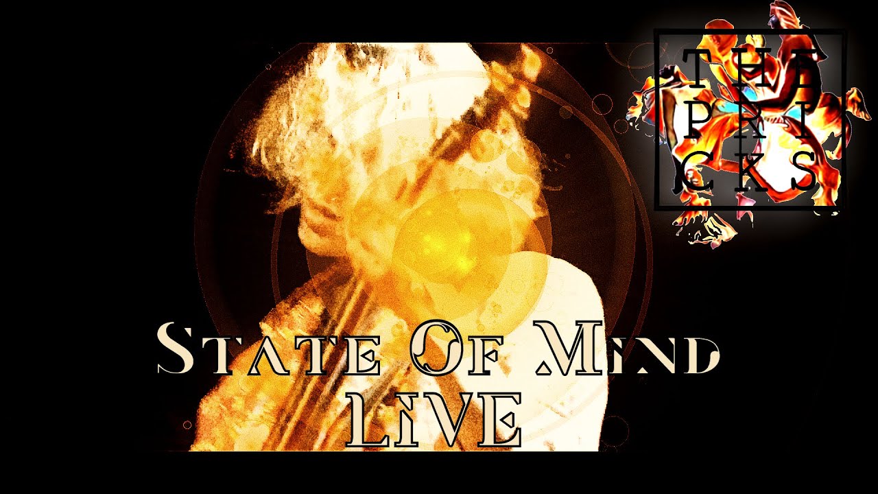 The Pricks - State Of Mind LIVE Lier Kulturscene 2020