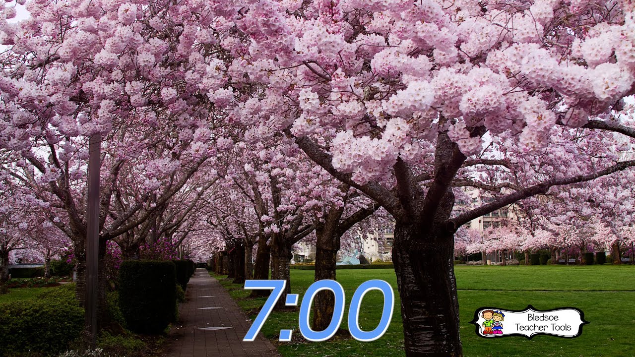 Cherry Blossom Classroom Timer with Music - 7 Minutes