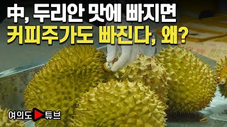 [여의도튜브] 中, 두리안 맛에 빠지면  커피주가도 빠진다, 왜? /머니투데이방송