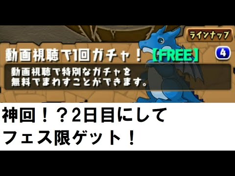 パズドラ 動画視聴ガチャ2日目にしてフェス限ゲット Youtube